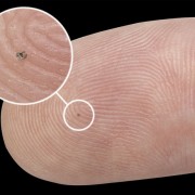 Implant cochléaire découpé par électro-érosion à fil réalisé la société VUICHARD SAS. Implant cochléaire découpé par électro-érosion à fil réalisé la société VUICHARD SAS.